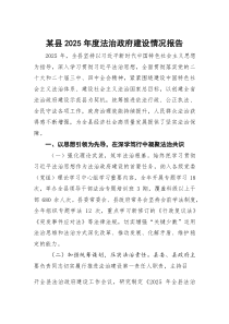某县2025年度法治政府建设情况报告(参考)