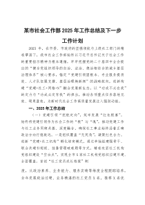 某市社会工作部2025年工作总结及下一步工作计划(参考)