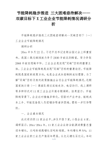 节能降耗稳步推进 三大困难亟待解决——双碳目标下X工业企业节能降耗情况调研分析