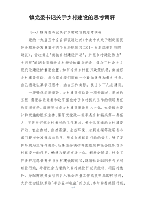 镇党委书记关于乡村建设的思考调研