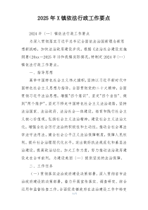 2025年X镇依法行政工作要点