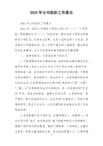 2025年公司组织工作要点