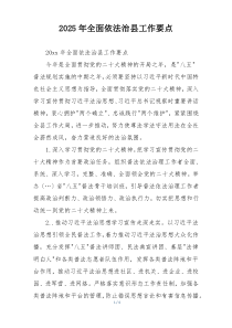 2025年全面依法治县工作要点