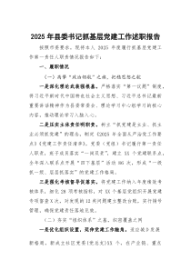 (参考)2025年县委书记抓基层党建工作述职报告