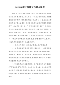 2025年医疗保障工作要点医保