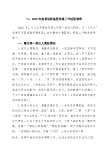 (参考)2025年度书记抓基层党建工作述职报告范文