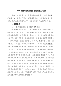 (参考)2025年度党组织书记抓基层党建述职报告（精选）