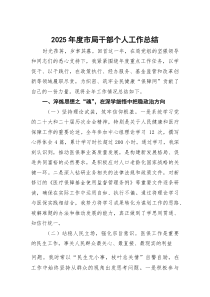 (参考)2025年度市局干部个人工作总结