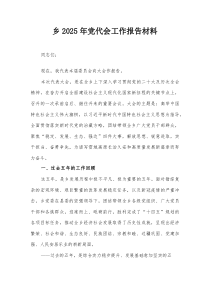 (参考)乡2025年党代会工作报告材料