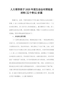 (参考)人大领导班子2025年度生活会对照检查材料（五个带头）多篇