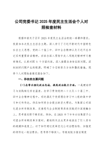 (参考)企业公司党委书记2025年度民主生活会个人对照检查材料(五个带头)