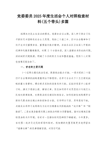 (参考)党委委员2025年度生活会个人对照检查材料(五个带头)多篇