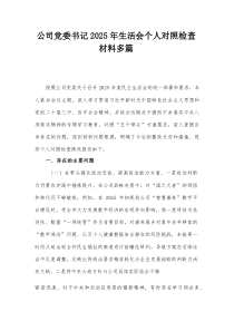 (参考)公司党委书记2025年生活会个人对照检查材料多篇