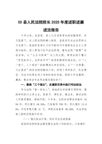 (参考)县人民法院院长2025年度述职述廉述法报告