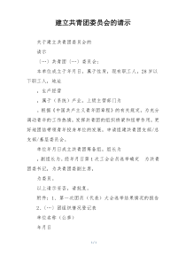 建立共青团委员会的请示