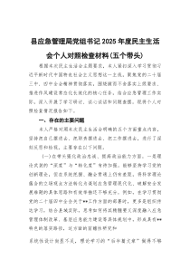 (参考)县应急管理局党组书记2025年度民主生活会个人对照检查材料（五个带头）