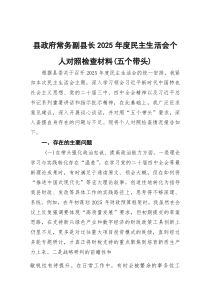 (参考)县政府常务副县长2025年度民主生活会个人对照检查材料（五个带头）