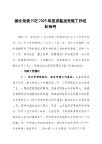 (参考)国企党委书记2025年度抓基层党建工作述职报告