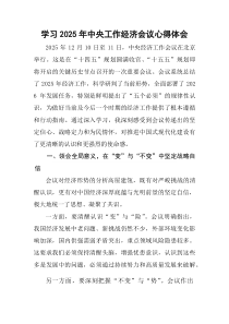 (参考)学习2025年中央工作经济会议个人心得体会 （合计13份）