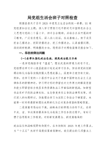(参考)局党组生活会班子对照检查