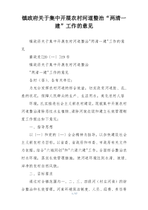 镇政府关于集中开展农村河道整治“两清一建”工作的意见