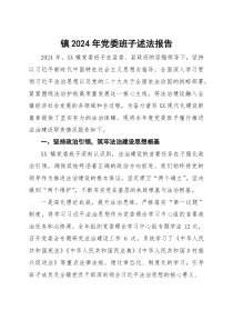 (参考)镇2024年党委班子述法报告