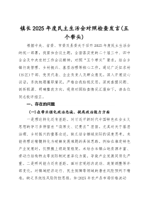 (参考)镇长2025年度民主生活会对照检查发言（五个带头）