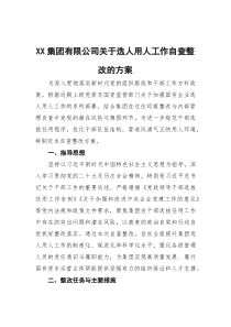 (参考)集团有限公司关于选人用人工作自查整改的方案
