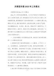 共青团市委2025年工作要点