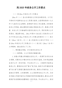 局2025年政务公开工作要点