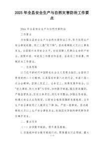 2025年全县安全生产与自然灾害防治工作要点