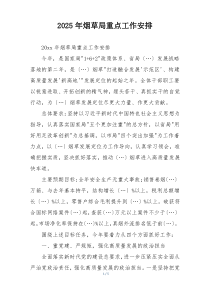 2025年烟草局重点工作安排