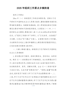 2025年组织工作要点乡镇街道