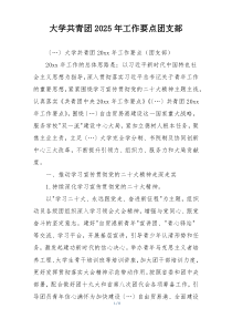 大学共青团2025年工作要点团支部