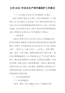 公司2025 年安全生产和环境保护工作要点