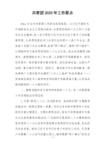 共青团2025年工作要点