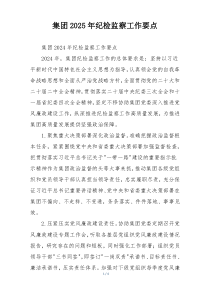 集团2025年纪检监察工作要点