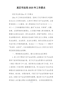 某区司法局2025年工作要点