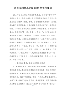 区工业和信息化局2025年工作要点
