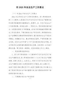 市2025年安全生产工作要点