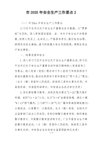 市2025年安全生产工作要点2