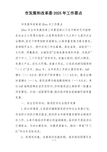 市发展和改革委2025年工作要点