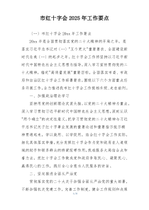 市红十字会2025年工作要点