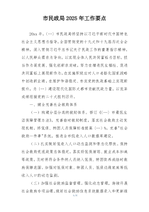 市民政局2025年工作要点