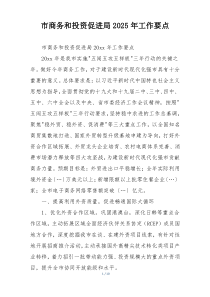 市商务和投资促进局2025年工作要点