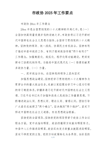 市政协2025年工作要点