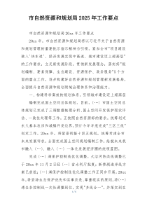 市自然资源和规划局2025年工作要点