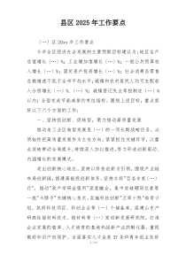 县区2025年工作要点