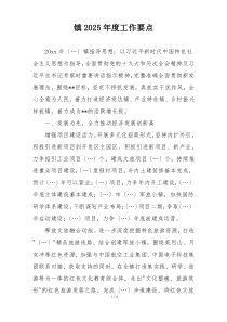 镇2025年度工作要点