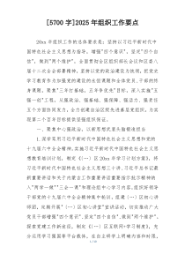 [5700字]2025年组织工作要点
